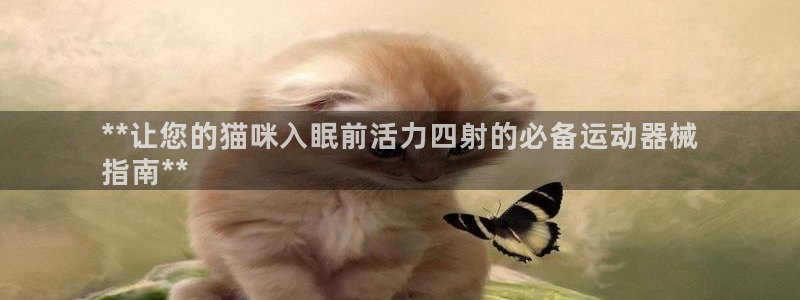 尊龙凯时网站怎么样：**让您的猫咪入眠前活力四射的必